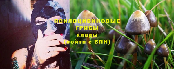 дурь Волосово