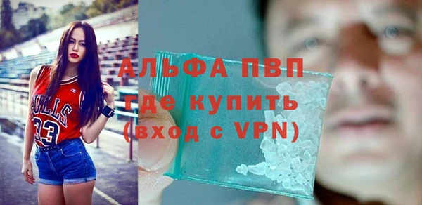 винт Верея