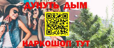 сатива Апшеронск