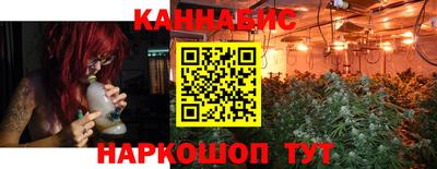 сатива Апшеронск