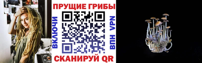 Псилоцибиновые грибы мухоморы  цена наркотик  Мценск 