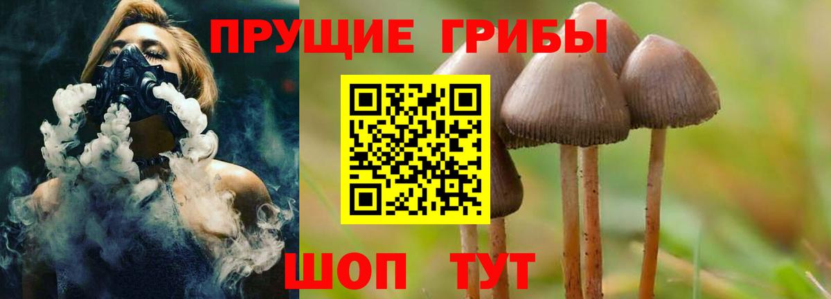 Мценск  Галлюциногенные грибы Psilocybine cubensis  Вход с VPN 