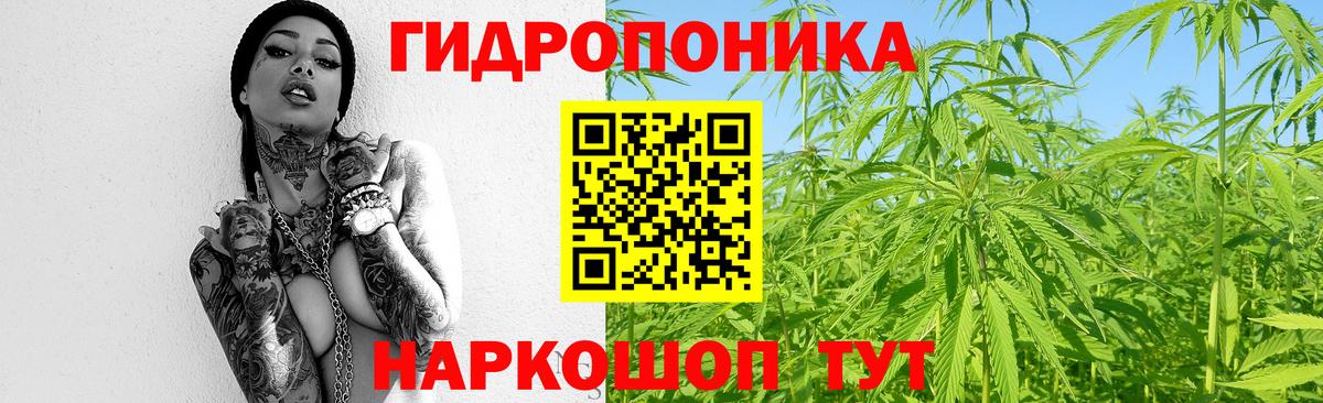 МАРИХУАНА конопля  Мценск  Шишки марихуана тримм  Бошки Шишки Bruce Banner 